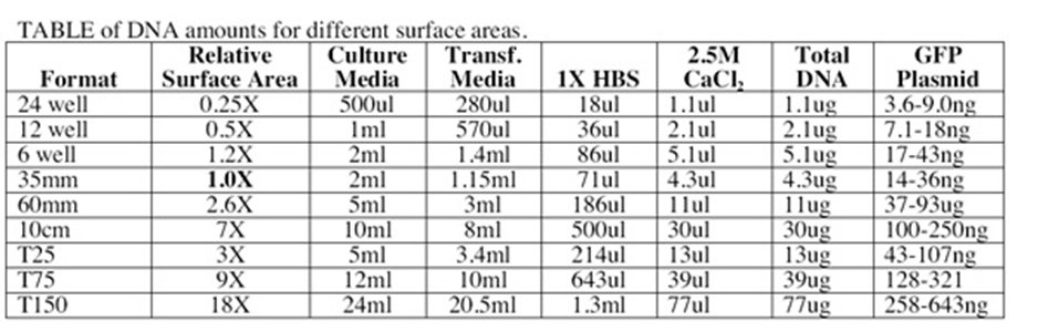 Table of DNA amounts for different culture vessel surface areas: format, relative surface area, media volumes, 1× HBS, 2.5 M CaCl₂, total DNA, and GFP plasmid ranges